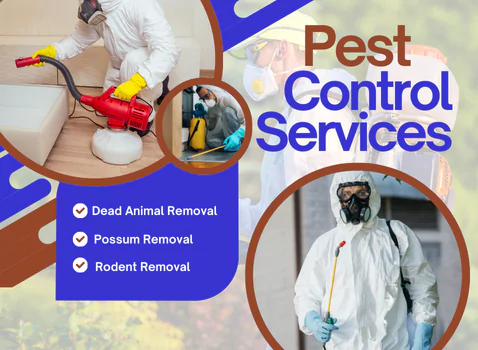 Pest Control Ivanhoe
