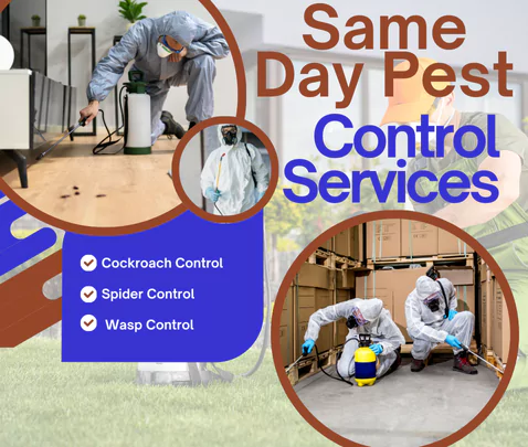 Pest Control Services Ivanhoe